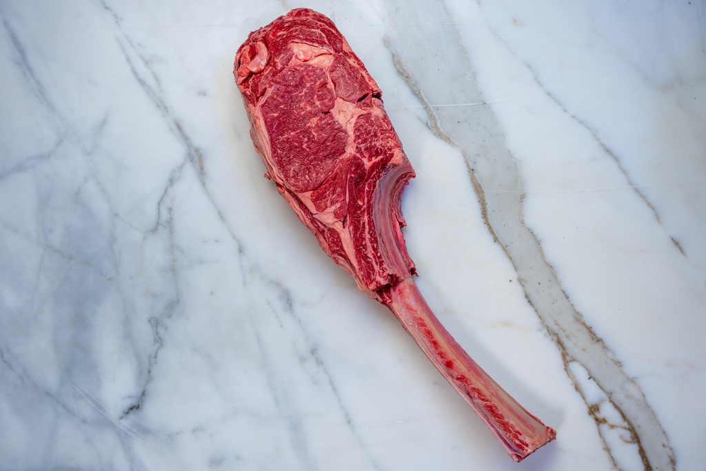 Tomahawk Holstein